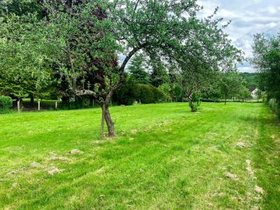 Vente Terrain ATHESANS-ETROITEFONTAINE 70110