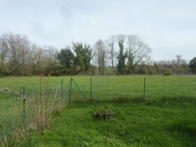 Vente Terrain LISIEUX 14100