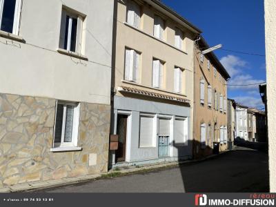 Vente Maison 11 pices VILLENEUVE-D'OLMES 09300