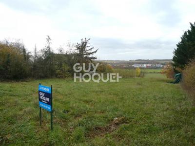 Vente Terrain MONETEAU 89470