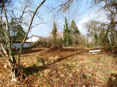 Vente Terrain MARSAC-EN-LIVRADOIS 63940