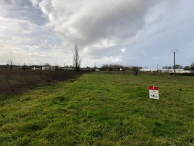 Vente Terrain TONNAY-CHARENTE 17430