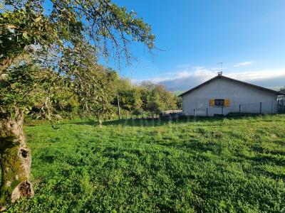 Vente Terrain GILLONNAY 38260