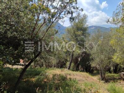 Vente Terrain SAINT-MARTIN-DU-VAR 06670