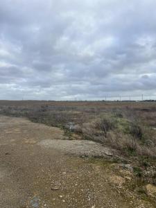 Vente Terrain SAINT-CALAIS 72120