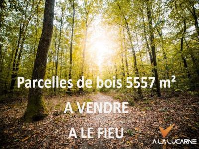 Vente Terrain FIEU 33230