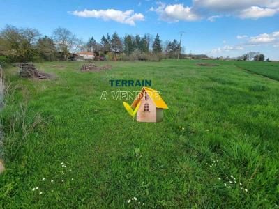 Vente Terrain NEUVILLE-DE-POITOU 86170