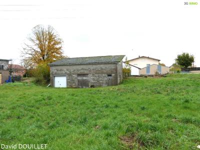 Vente Terrain DOGNEVILLE 88000