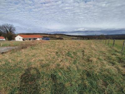 Vente Terrain SAINT-SYLVESTRE-PRAGOULIN 63310