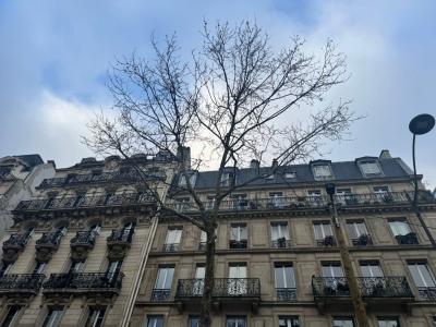 Location Appartement PARIS-6EME-ARRONDISSEMENT 75006