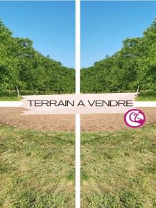 Vente Terrain LIGNE 44850