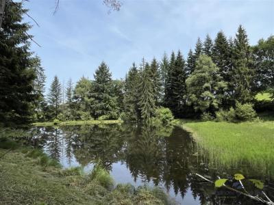 Vente Terrain MOISSANNES 87400