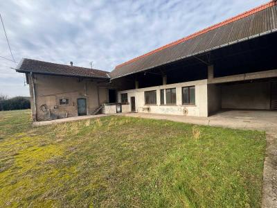 Vente Maison 9 pices LUNEVILLE 54300