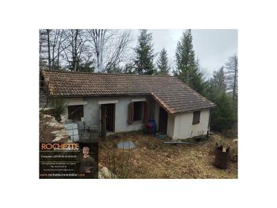 Vente Maison 3 pices SAINT-BONNET-LE-COURREAU 42940