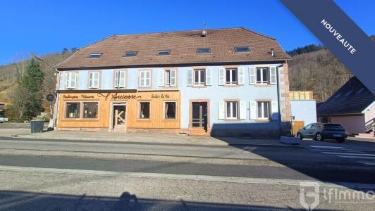 Vente Immeuble BERGHEIM 68750