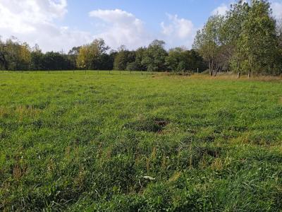 Vente Terrain SAINT-CIERS-SUR-GIRONDE 33820