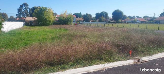 Vente Terrain ANDERNOS-LES-BAINS 33510