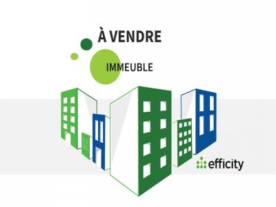 Vente Immeuble SOUFFLENHEIM 67620