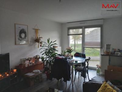 Location Appartement 2 pices LINSELLES 59126