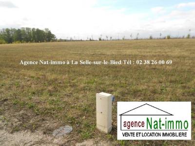 Vente Terrain SELLE-SUR-LE-BIED 45210