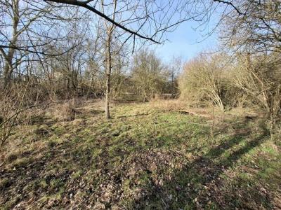 Vente Terrain CLERLANDE 63720