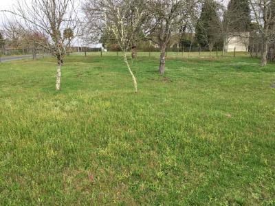 Vente Terrain CARTELEGUE 33390