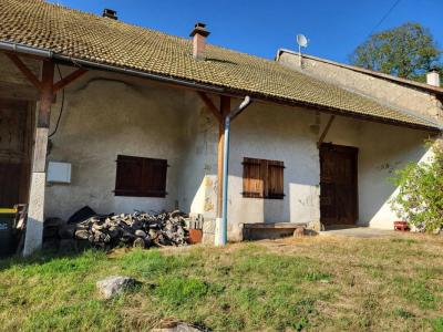 Vente Maison 3 pices HAUTEVILLE-LOMPNES 01110