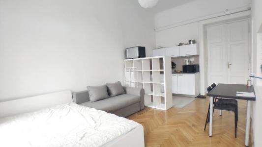 Location Appartement LYON-1ER-ARRONDISSEMENT 69001