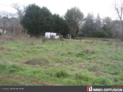 Vente Terrain VILLANDRAUT 33730