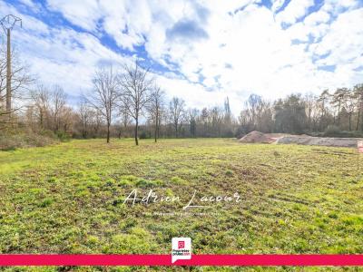 Vente Terrain PRUNIERS-EN-SOLOGNE 41200