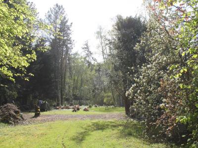 Vente Terrain DAMPIERRE-EN-YVELINES 78720