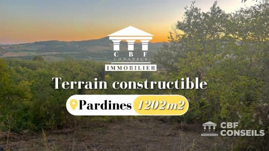 Vente Terrain PARDINES 63500