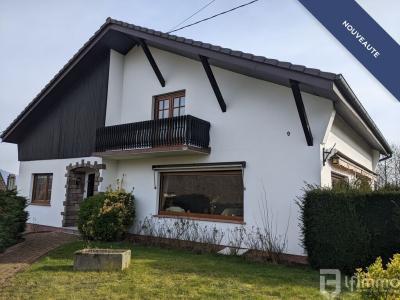 Vente Maison 9 pices PREUSCHDORF 67250