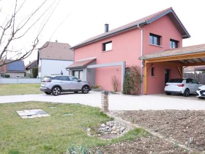 Vente Maison 5 pices HIRTZFELDEN 68740