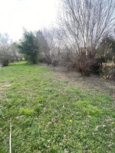 Vente Terrain BONREPOS-SUR-AUSSONNELLE 31470