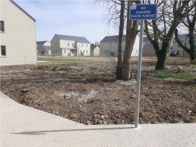 Vente Terrain AVOINE 37420