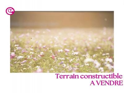 Vente Terrain POMMERAYE 49620