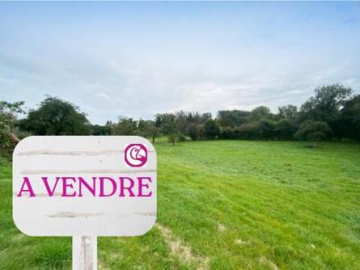 Vente Maison 2 pices ROCHE-BLANCHE 44522