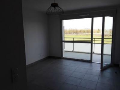 Location Appartement 2 pices CHEVIGNY-SAINT-SAUVEUR 21800