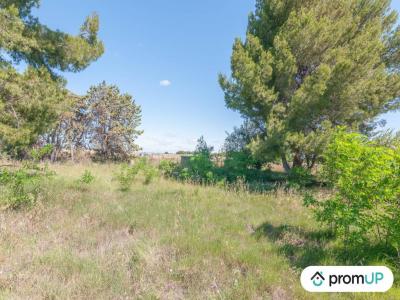 Vente Terrain MARSEILLAN 34340