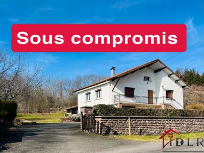 Vente Maison 4 pices TERNUAY-MELAY-ET-SAINT-HILAIRE 70270