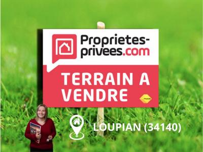 Vente Terrain LOUPIAN 34140