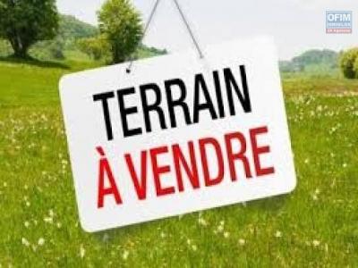 Vente Terrain PLAINE-DES-PALMISTES 97431