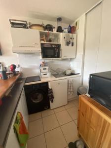 Vente Appartement 2 pices SAINT-QUENTIN-DE-BARON 33750