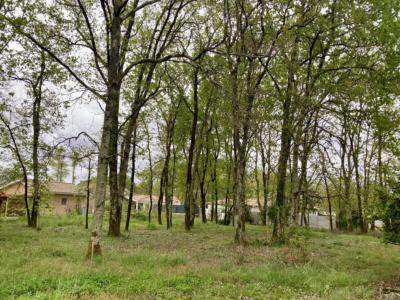 Vente Terrain SAINT-MEDARD-EN-JALLES 33160