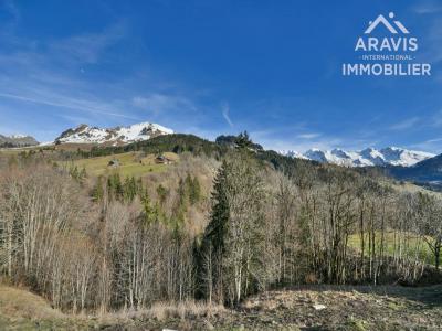 Vente Terrain GRAND-BORNAND 74450