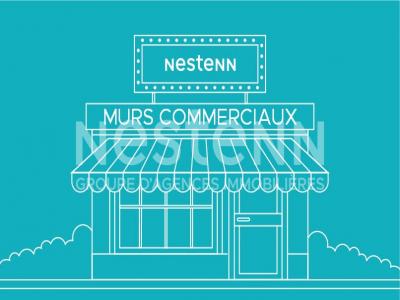 Vente Local commercial VINEUIL 41350