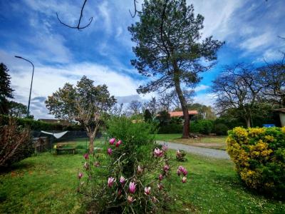Vente Maison 7 pices SAUGNAC-ET-CAMBRAN 40180