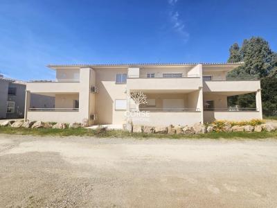 Vente Appartement 2 pices PRUNELLI-DI-FIUMORBO 20243
