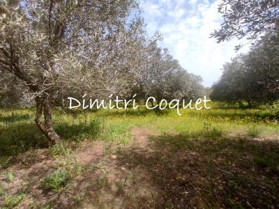Vente Terrain POUZOLLES 34480